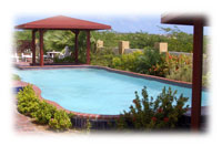 the pool